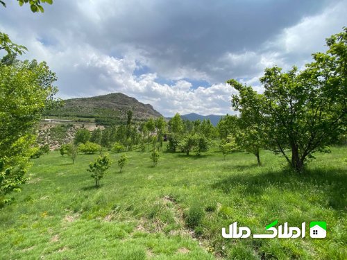 فروش زمین 14000متری در نوشهر منطقه کجور