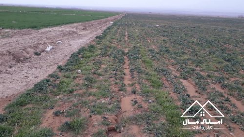 12 هزار متر زمین کشاورزی دور دیوار کشی شده دماوند