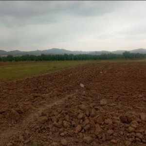 زمین 1000 متری میانچال ارزان کشاورزی قزوین
