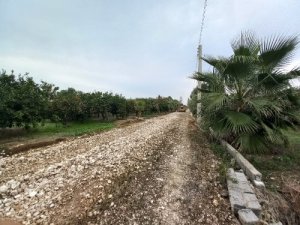 فروش زمین استثنایی 5 کیلومتری ساحل در شهر زیبای ساری