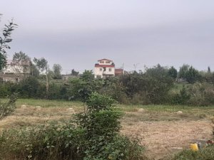 فروش زمین شالیکاری سنددار در تنکابن روستای سلیمان آباد