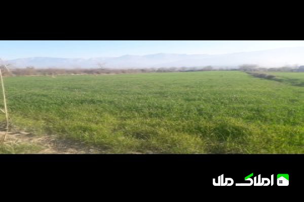 زمین باغی کشاورزی قیمت مناسب جاده قدیم گرگان کردکوی
